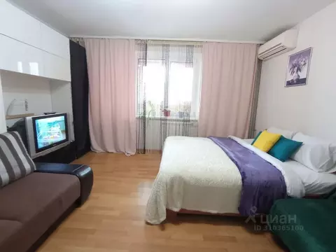 1-к кв. Московская область, Домодедово Северный мкр, ул. 1-я ...