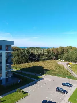 4-к кв. Калининградская область, Светлогорск Ольховая ул., 19к6 (115.0 ...