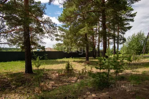 Участок в Забайкальский край, Читинский район, Карповское СНТ  (11.9 ...