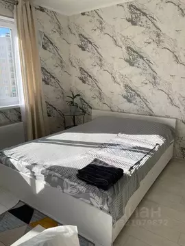 Студия Санкт-Петербург просп. Королева, 62 (30.0 м)