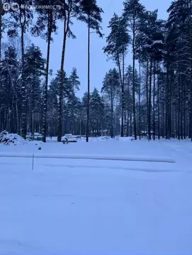 Участок в Богородский городской округ, КП Стулово (10 м)