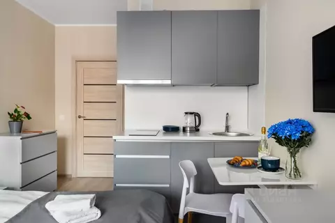 Студия Санкт-Петербург Политехническая ул., 6 (22.0 м)