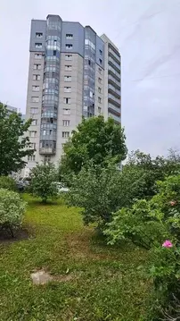 2-к кв. Санкт-Петербург Шуваловский просп., 90к1 (65.0 м)