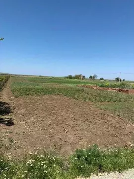 Участок в Краснодарский край, Темрюкский район, Новотаманское с/пос, ...