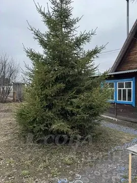 Дом в Тюменская область, Тюмень СОСН Лаванда тер., ул. 11-я (60 м)