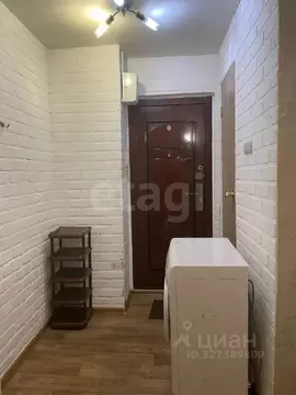 Студия Тюменская область, Тюмень ул. Судостроителей, 36 (16.7 м)