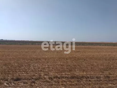 Участок в Крым, Сакский район, с. Митяево  (387.4 сот.)