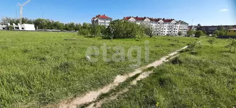 Участок в Брянская область, Брянский район, Новодарковичское с/пос, ...