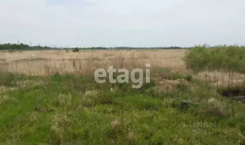 Участок в Хабаровский край, Хабаровский район, с. Константиновка ...