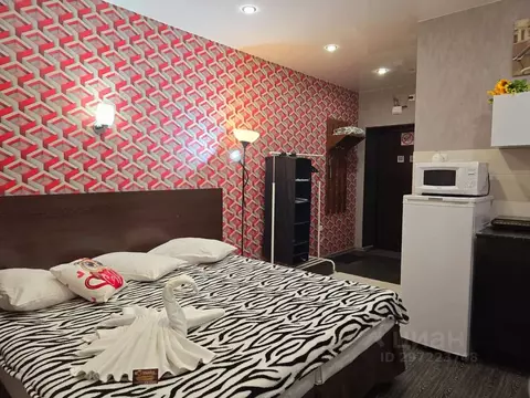 1-к кв. Новосибирская область, Искитим Советская ул., 285 (20.0 м)