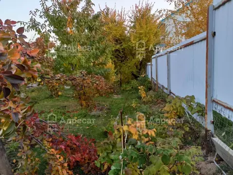 Дом в Волгоградская область, Волгоград Мичуринец СНТ, 11 (25 м)