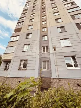 Офис в Санкт-Петербург просп. Солидарности, 21к2 (9 м)