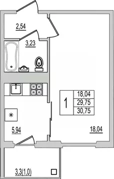 1-к кв. Псковская область, Псков Рижский просп., 94Г (30.75 м)