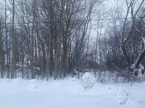 Участок в Московская область, Луховицы муниципальный округ, д. Руднево ...