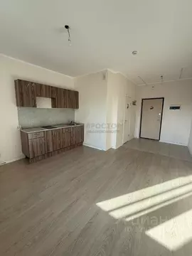 Студия Московская область, Люберцы городской округ, Мирный пгт ул. ...