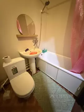 1-к кв. Московская область, Раменский муниципальный округ, с. Софьино ...