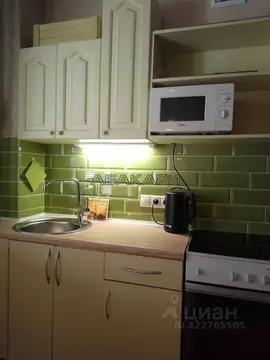 1-к кв. Красноярский край, Красноярск наб. Ярыгинская, 9 (30.0 м)