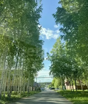 Участок в Новосибирская область, Новосибирский район, Мочищенский ...