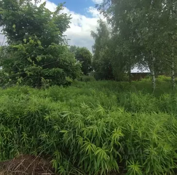 Участок в Московская область, Павлово-Посадский городской округ, д. ...