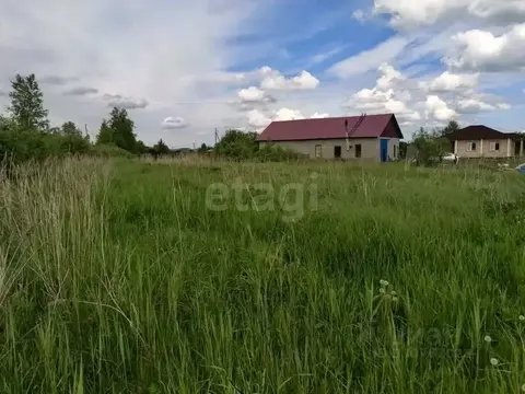 Участок в Тюменская область, Тюмень Царево СНТ, 128 (11.39 сот.)
