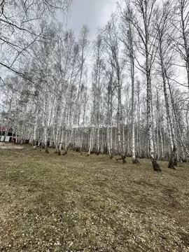 Участок в Башкортостан, Абзелиловский район, Ташбулатовский сельсовет, ...