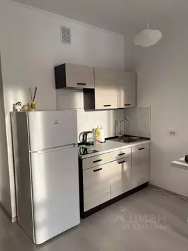 Студия Санкт-Петербург Светлановский просп., 8 (24.0 м)