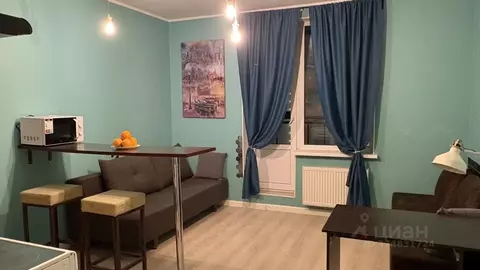 Студия Санкт-Петербург ул. Русановская, 19к3 (27.3 м)