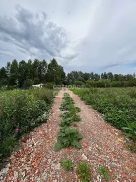 Участок в Тюменская область, Нижнетавдинский район, Моторостроитель ...
