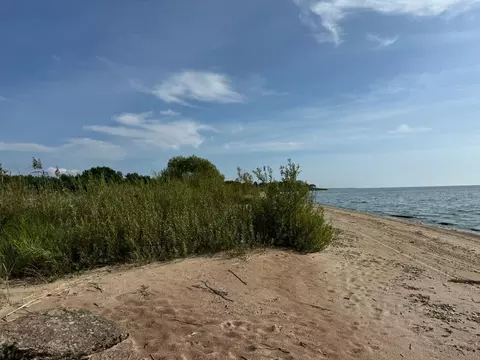 Участок в Псковская область, Гдовский район, Добручинская волость, д. ...