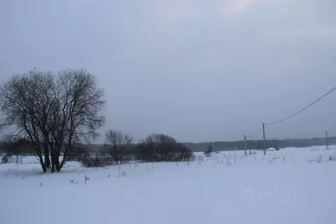 Участок в Московская область, Шаховская муниципальный округ, д. Ядрово ...