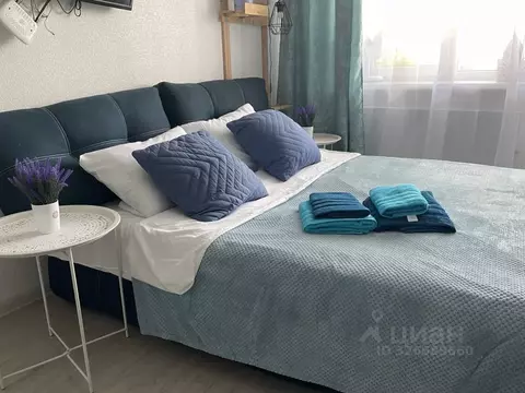 1-к кв. Московская область, Ногинск Богородский городской округ, ул. ...