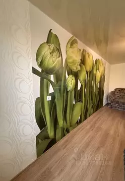 2-к кв. Оренбургская область, Оренбург Южный мкр, ул. Даля, 5 (47.0 м)