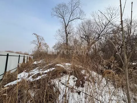 Участок в Приморский край, Надеждинский муниципальный округ, ...