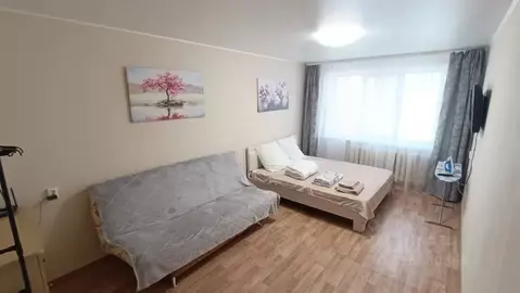 1-к кв. Башкортостан, Уфа Революционная ул., 80 (32.0 м)