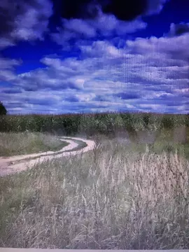 Участок в Рязанская область, Спасский муниципальный округ, Панинское ...