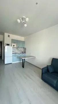 Студия Санкт-Петербург просп. Буденного, 23к1 (24.3 м)