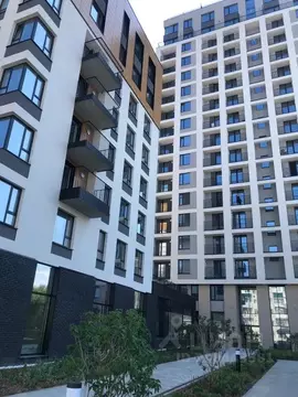 Студия Курганская область, Курган ул. Коли Мяготина, 181 (23.0 м)