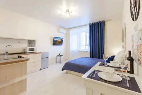 1-к кв. Самарская область, Самара Ново-Садовая ул., 201 (30.0 м)