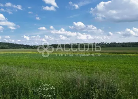 Участок в Омская область, Омский район, Ачаирское с/пос, пос. ...