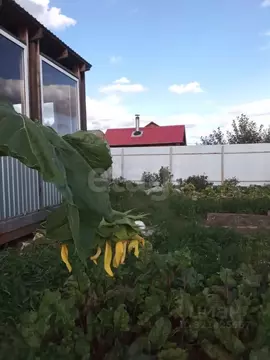 Дом в Тюменская область, Тюмень Лаванда садовое товарищество, ул. 14-я ...