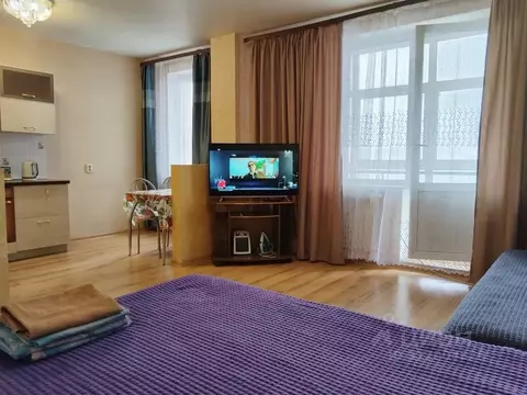 Студия Иркутская область, Иркутск Байкальская ул., 234В/2 (45.0 м)