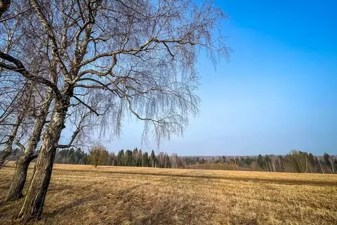 Участок в Московская область, Дмитровский муниципальный округ, ...