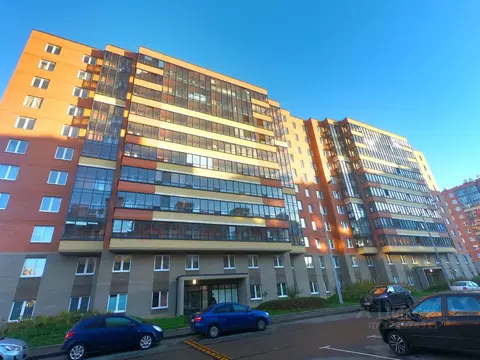 Студия Санкт-Петербург, Санкт-Петербург, Колпино ул. Севастьянова, ...