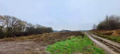 Участок в Краснодарский край, Северская ст-ца  (68.78 сот.)