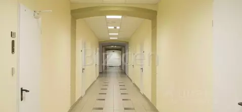 Офис в Санкт-Петербург ул. Чапаева, 5 (129 м)