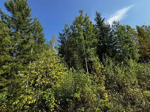 Участок в Свердловская область, Нижний Тагил муниципальный округ, с. ...