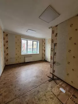 Помещение свободного назначения в Омская область, Омск Братская ул., ...