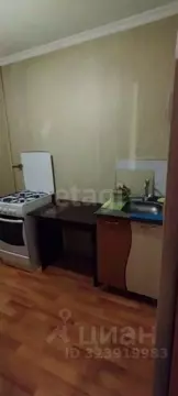 1-к кв. Красноярский край, Красноярск Западная ул., 13 (31.0 м)