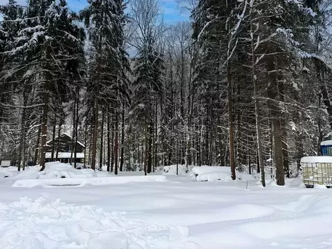 Участок в Московская область, Дмитровский муниципальный округ, ...