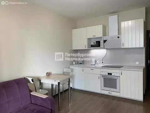 Квартира-студия: Санкт-Петербург, Арцеуловская аллея, 23к1 (23.7 м)